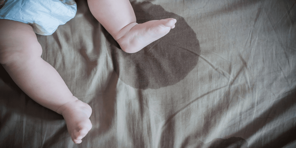 5 astuces permettant d’éliminer l’odeur d’urine qui émane de votre tapis